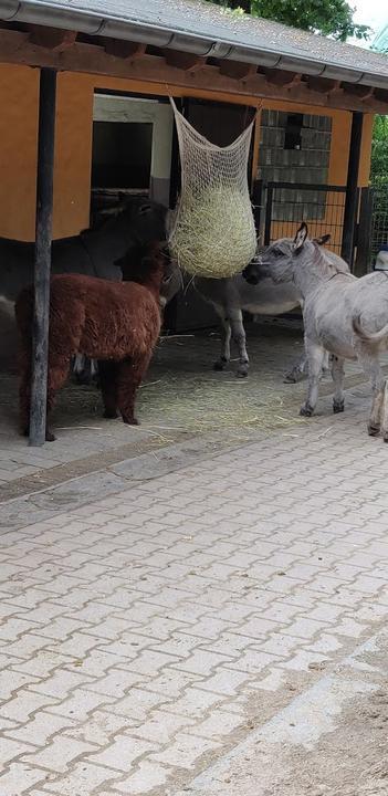 Tierpark Fauna